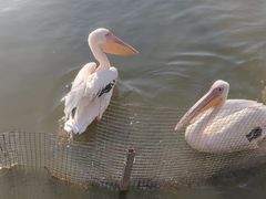 -宁波杭州湾国家湿地公园