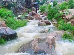 -涂山风景区