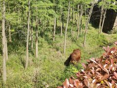-天台山琼台仙谷景区