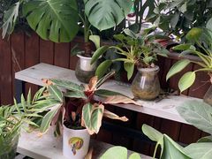 -北边的花店(泛悦城市广场店)