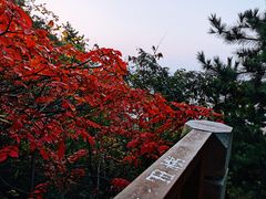 -竹子庵公园