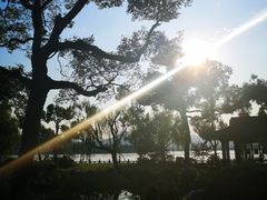 -杭州西湖柳莺里酒店