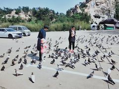 -西霞口神雕山野生动物世界