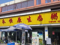 -蚝专家