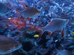 -成都浩海立方海洋公园