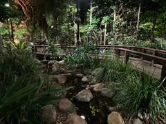 -布里斯班南岸公园
