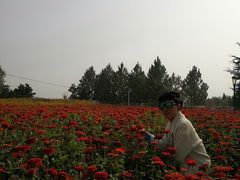 -羊亭河湿地公园