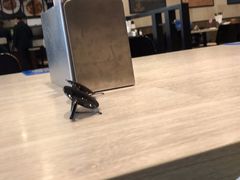 -康师傅私房牛肉面(马泉营奥莱店)