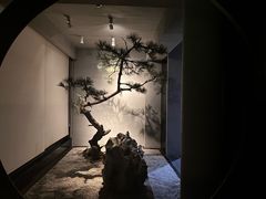 -山塘渡·苏式园林餐厅