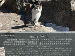 -崂山巨峰游览区