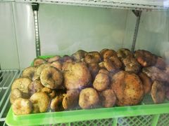 -山菌美食苑(振兴路店)