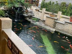 -顺德了能馆(虎门店)