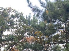 -棒棰岛宾馆景区
