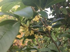 -龙潭生态旅游度假区