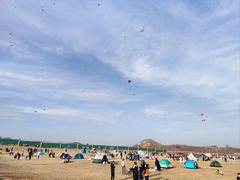 -君乐宝优致牧场