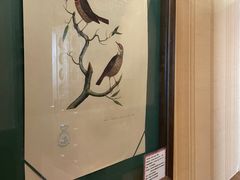 -小白桦西餐厅