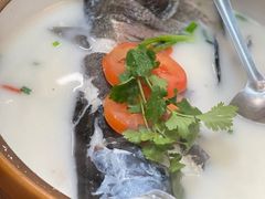 -全乐鱼馆·淳牌有机鱼直营店
