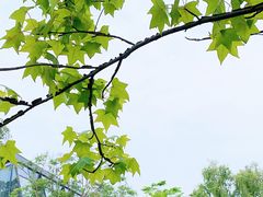 -成飞公园