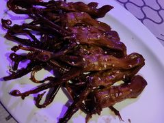 -蝴蝶汇音乐酒馆(罗湖店)