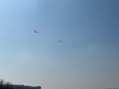 -丁香湖公园