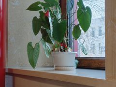 -老都一处饺子馆(道里店)