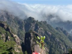 -黄山玉屏楼宾馆餐厅
