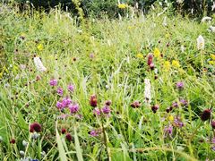 -白草畔自然风景区