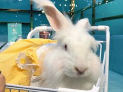 -新佳丽时尚广场