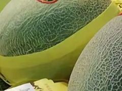 -全而廉(靖宇中路店)