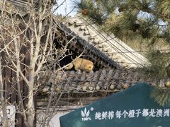 -八奇洞景区