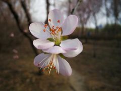 -长春公园(普阳街道)