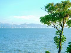 -深圳湾公园(南山区)