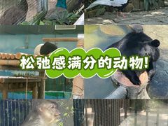 -柳州市动物园