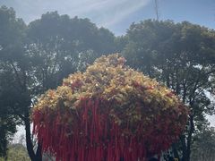 -狼山风景名胜区