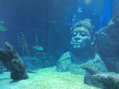 -暹罗海洋世界