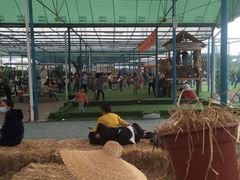 -麻涌飞鸭开心农场