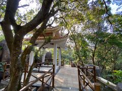 -广州市流溪河国家森林公园