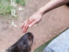 -乐和乐都主题乐园