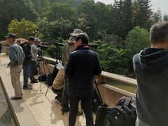 -云溪植物园