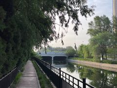 -大望京公园