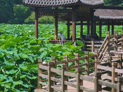-龙头寺公园