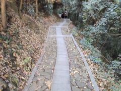 -午潮山国家森林公园