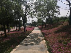 -白鹭湾湿地公园