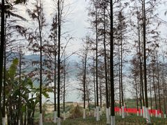 -金海湾滨江公园