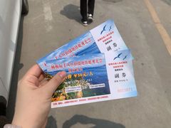 -杨梅坑
