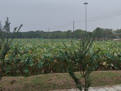 -嘉北郊野公园