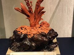 -绮丽珊瑚(台北101旗舰门市店)