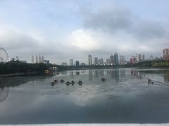 -南宁南湖公园