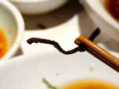 -真定郝家排骨(正定县总店)