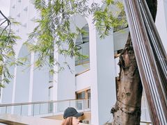-尼依格罗香港美利酒店
